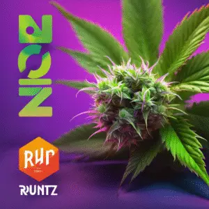 Runtz
