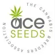 ACE Seeds