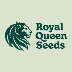 Royal Queen Seeds